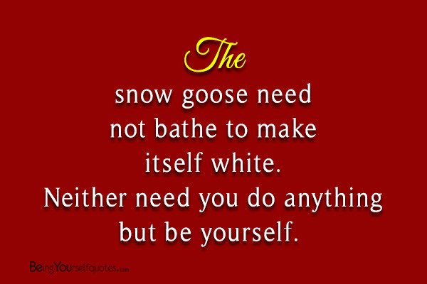The snow goose need not bathe to make itself white