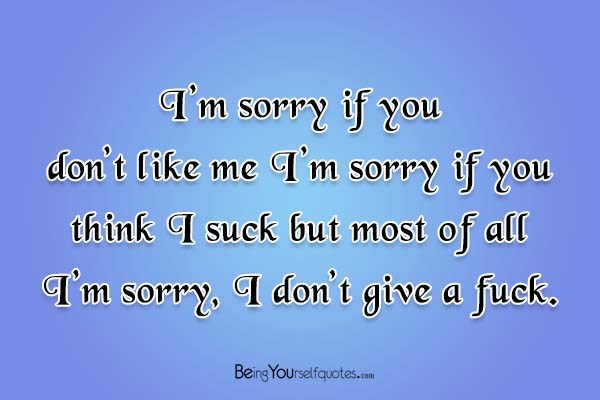 I’m sorry if you don’t like me I’m sorry