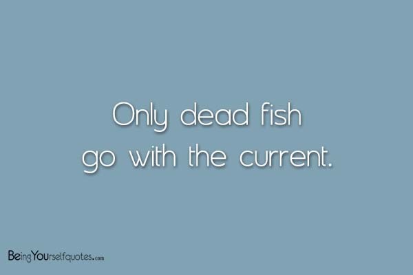 Only dead fish go with the current