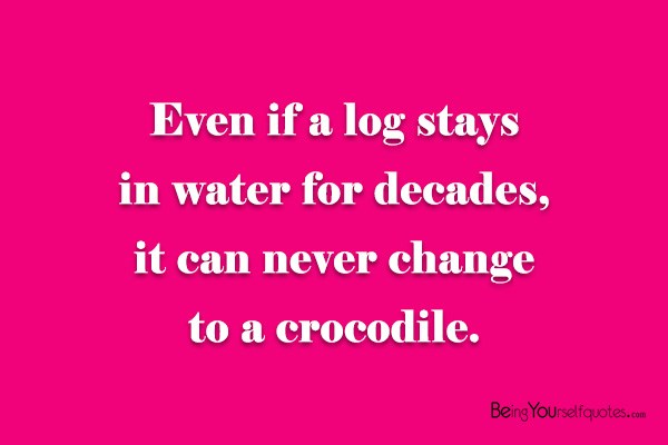 Even if a log stays in water for decades  it can never change to a crocodile