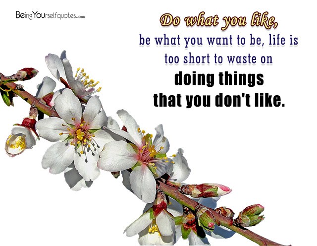 Do what you like, be what you want to be